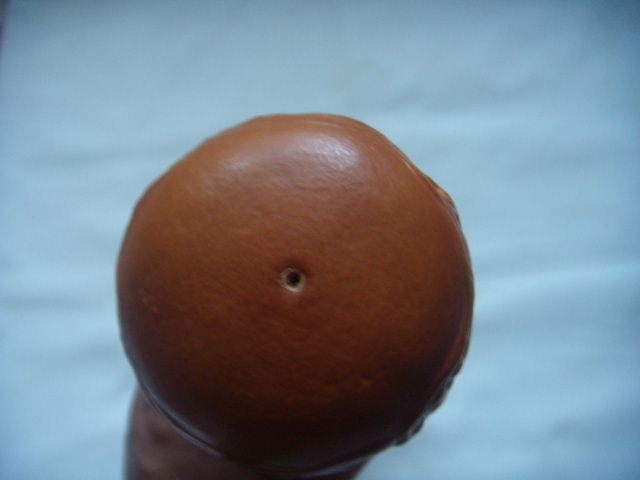 DSCN7612.JPG