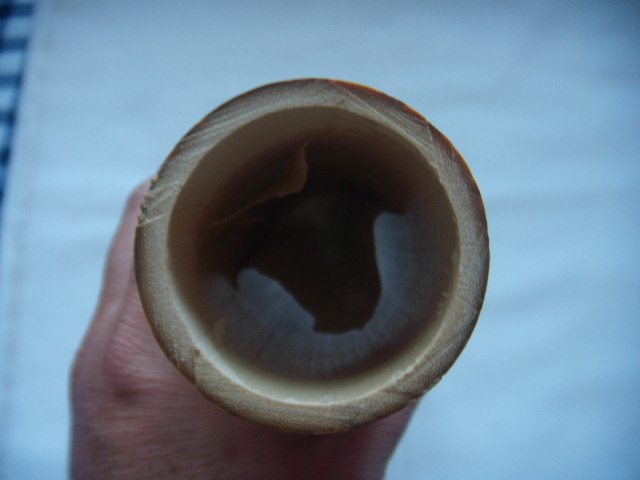 DSCN7799.JPG