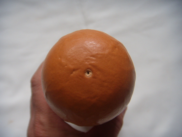 DSCN7826.JPG