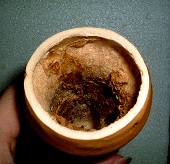 DSCF1637.JPG