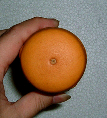 DSCF1638.JPG