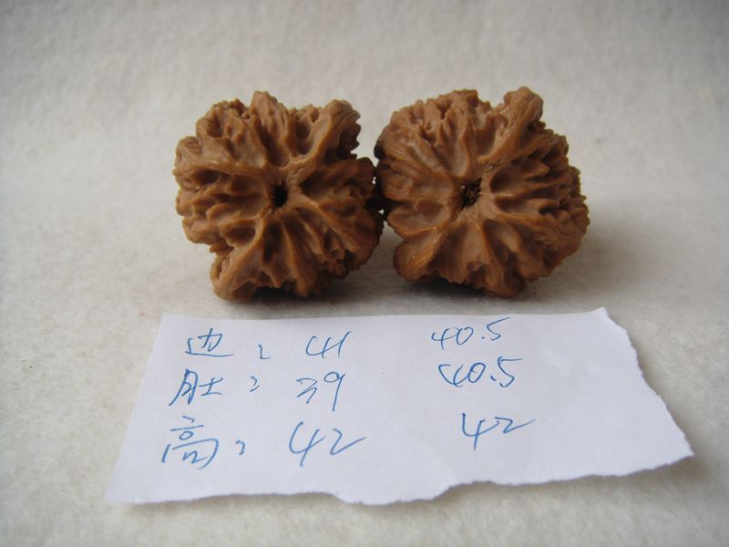 DSC08691.JPG
