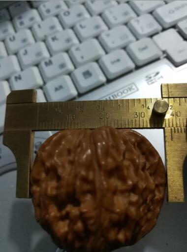 QQ图片20171003001742.jpg