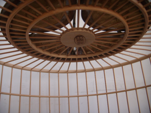 DSCN8497.JPG