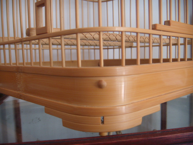 DSCN8088.JPG