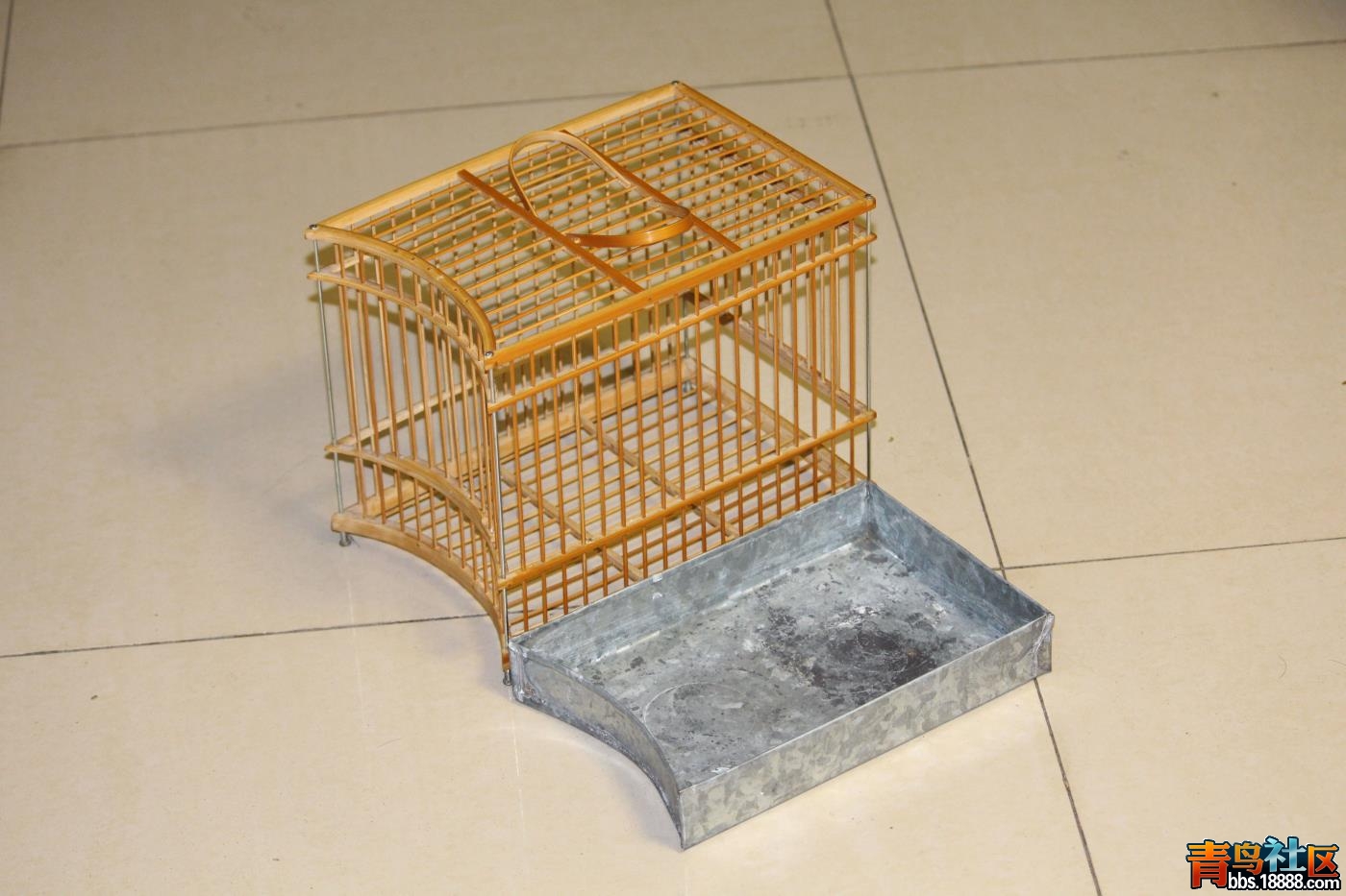 IMG_7732_看图王.jpg