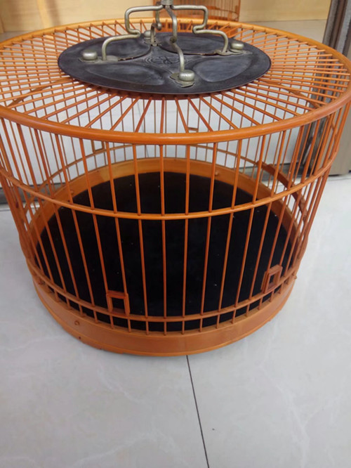 psb (3)_副本.jpg