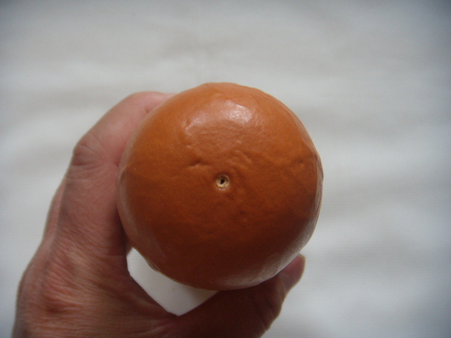 DSCN8511.JPG