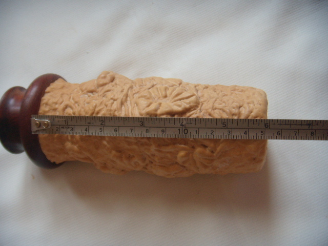 DSCN8238.JPG