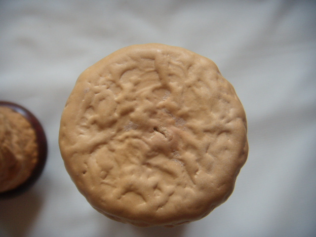 DSCN8241.JPG