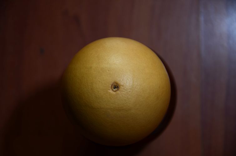 DSC_4268_副本.jpg