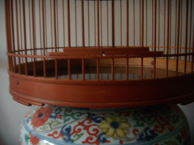 DSCN8882.JPG