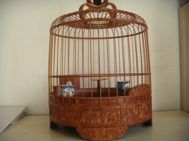 DSCN8824.JPG
