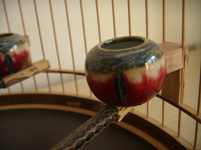 DSCN8615.JPG