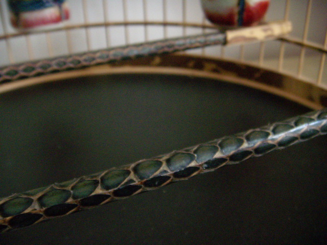 DSCN9395.JPG