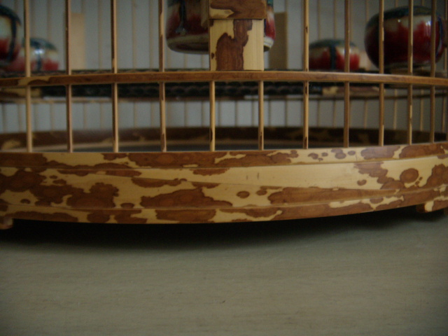 DSCN9380.JPG