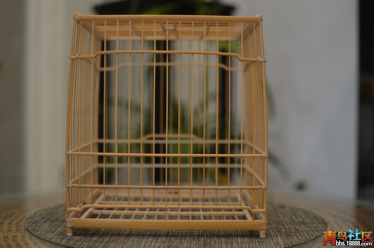 Compress_DSC_0856.JPG