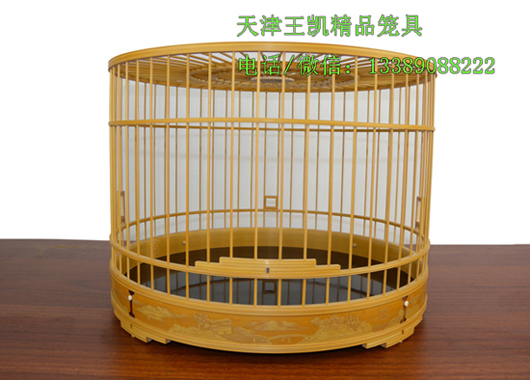 DSCN7992.JPG