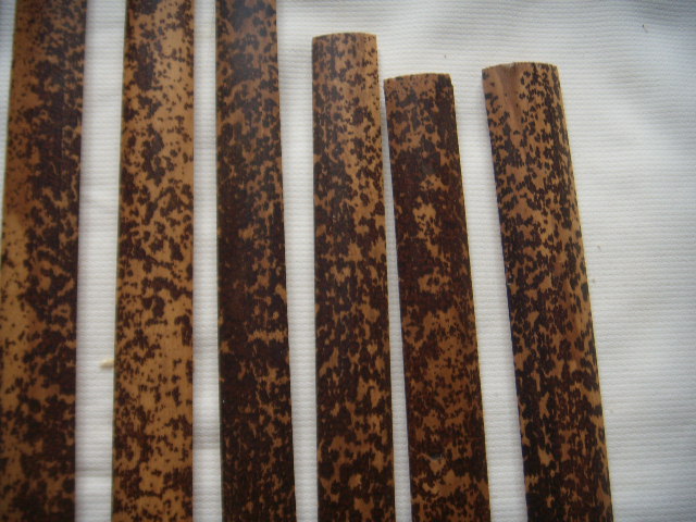 DSCN9089.JPG