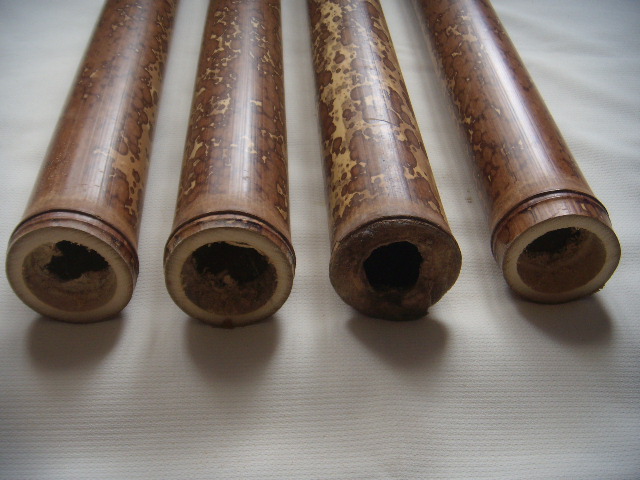 DSCN9071.JPG