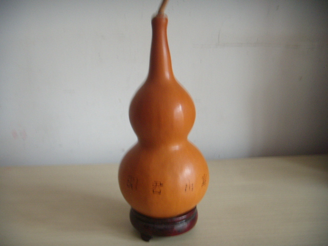 DSCN9440.JPG