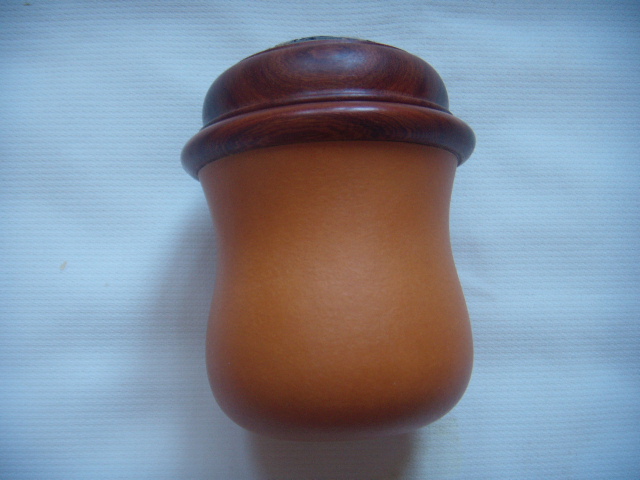 DSCN9154.JPG