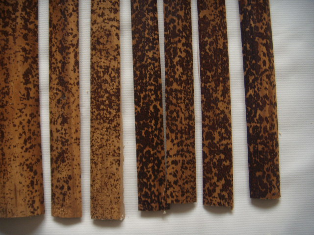 DSCN9087.JPG