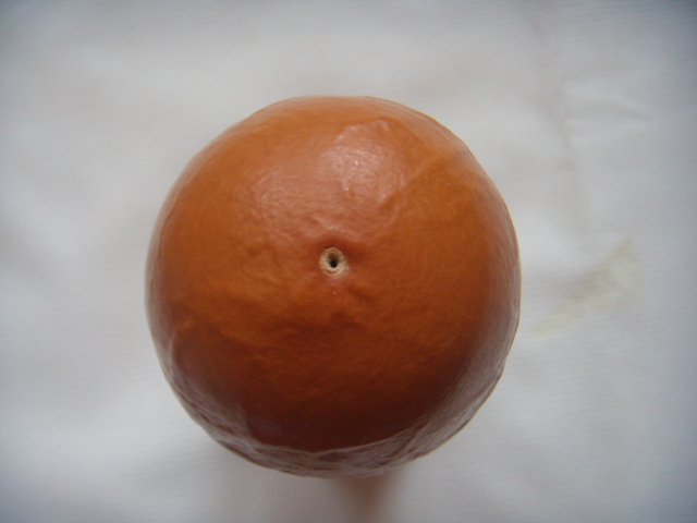 DSCN8672.JPG