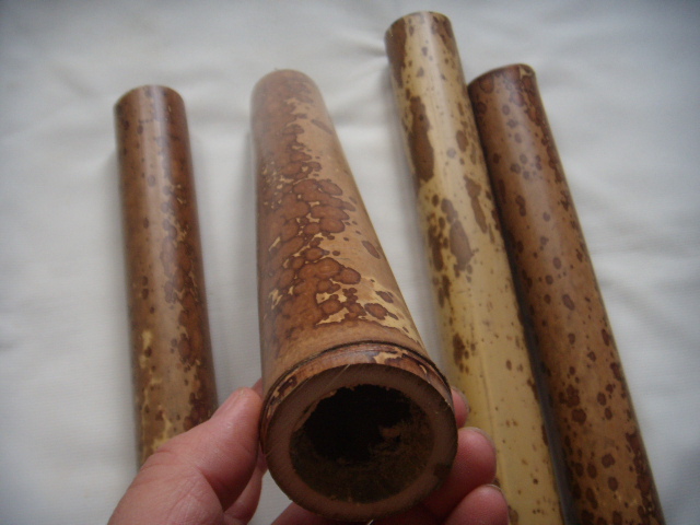 DSCN9079.JPG