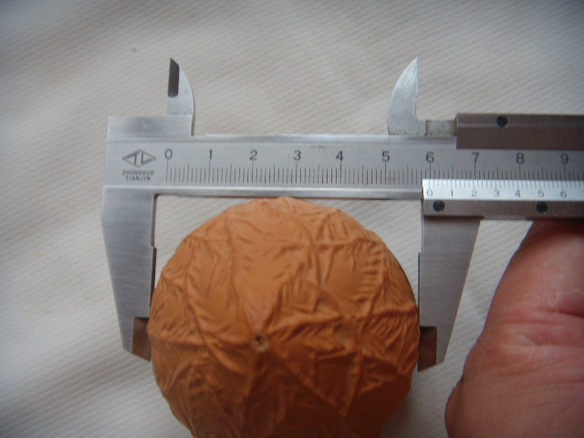 DSCN9045.JPG