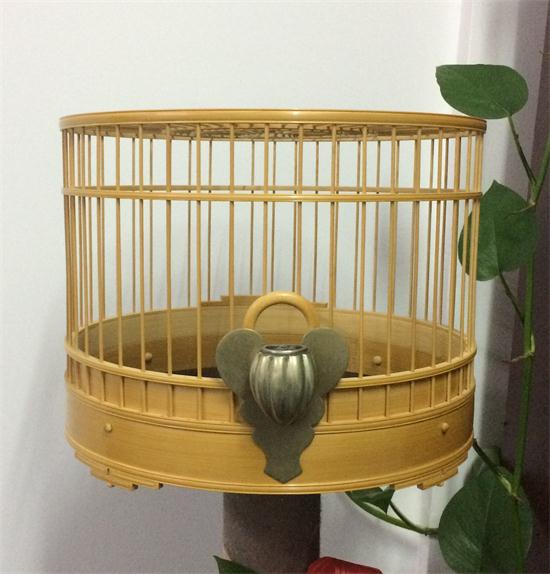 IMG_9855_看图王.JPG
