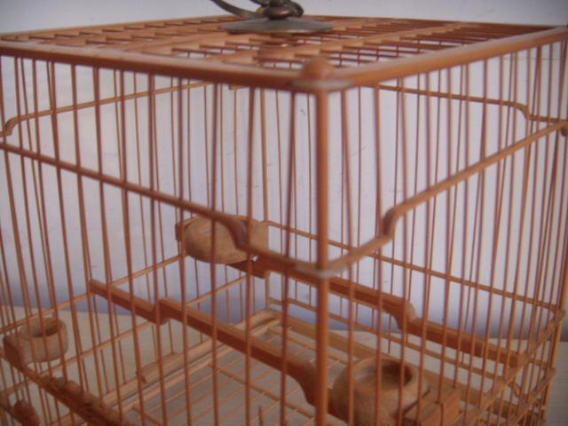 DSCN9573.JPG