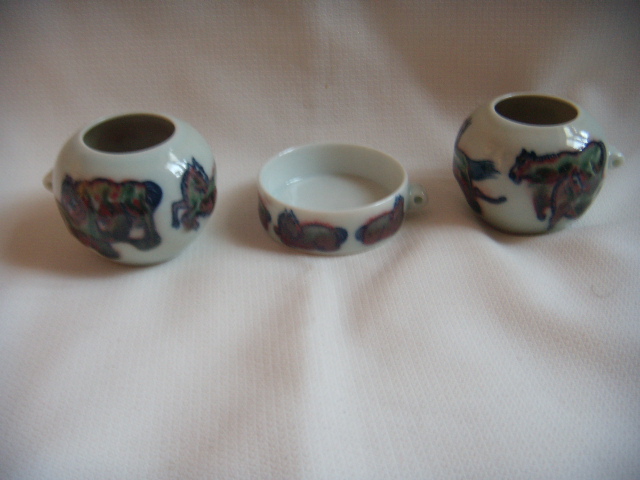 DSCN9828.JPG