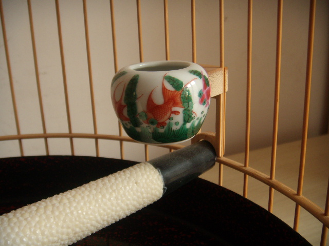 DSCN9864.JPG