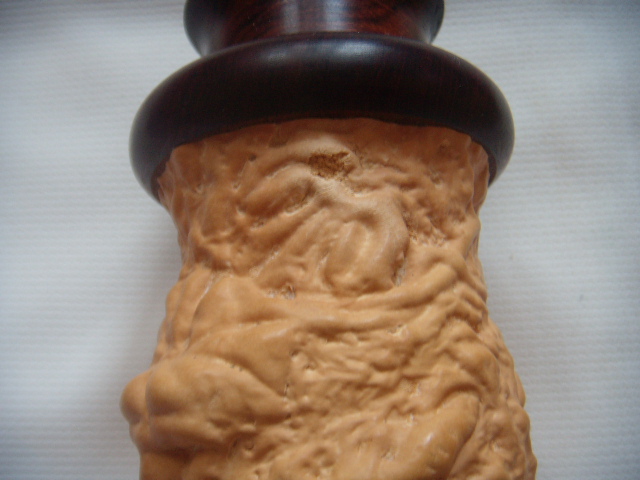 DSCN9918.JPG
