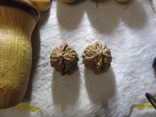 IMG_5975.JPG