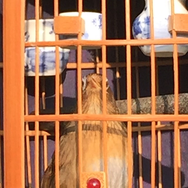 2018-02-26 074831.jpg