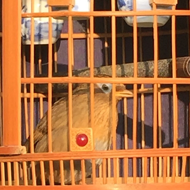 2018-02-26 074858.jpg