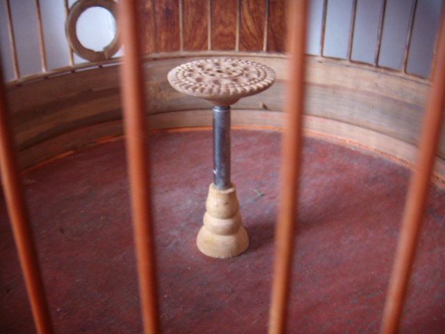 DSCN0239.JPG