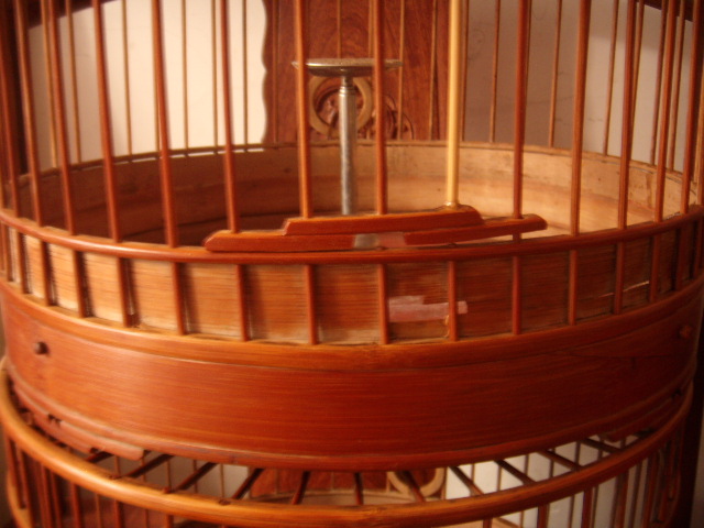 DSCN0232.JPG