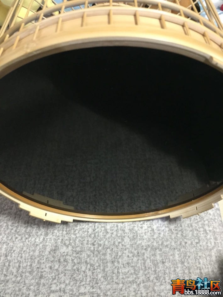 7777.jpg