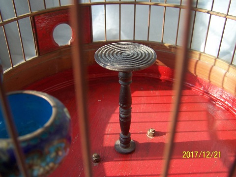 100_2511.jpg