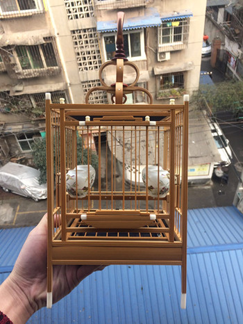 微信图片_201802091101011.jpg