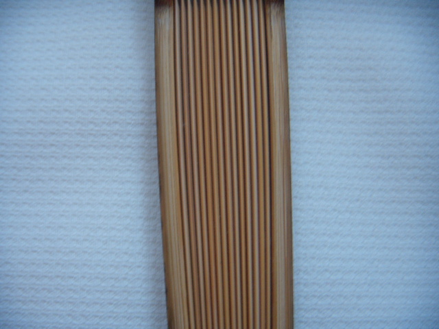 DSCN0091.JPG