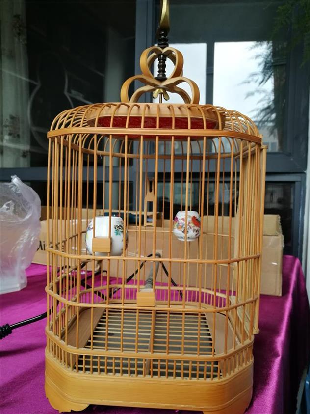 新建文件夹IMG_20180320_080843.jpg