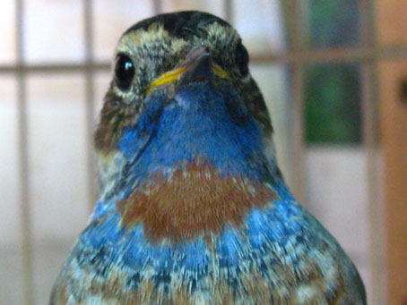 IMG_504501.jpg