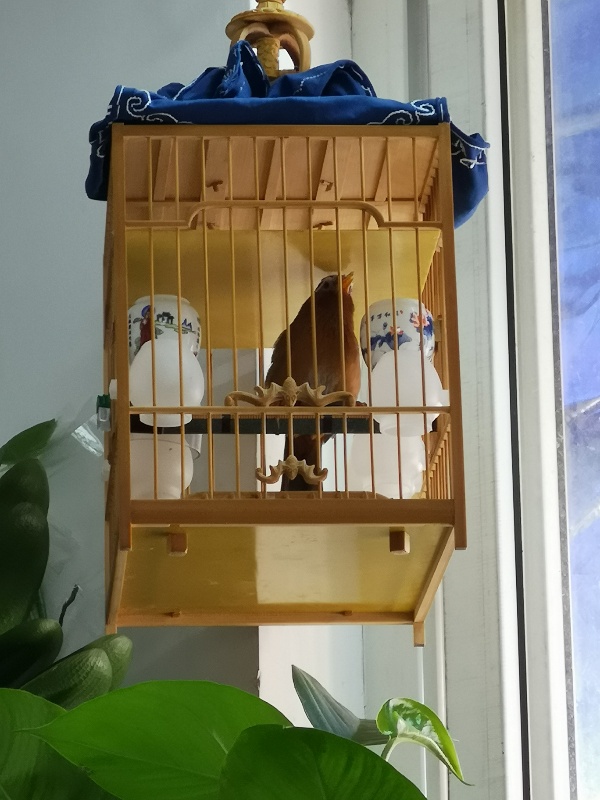 rps20180523_125604.jpg