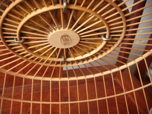 DSCN0581.JPG