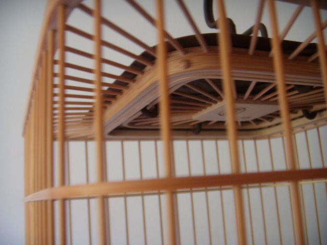 DSCN1613.JPG