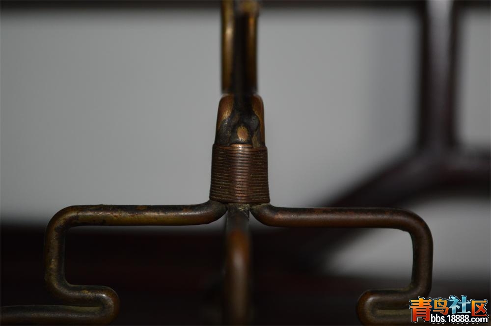 DSC_0515.JPG